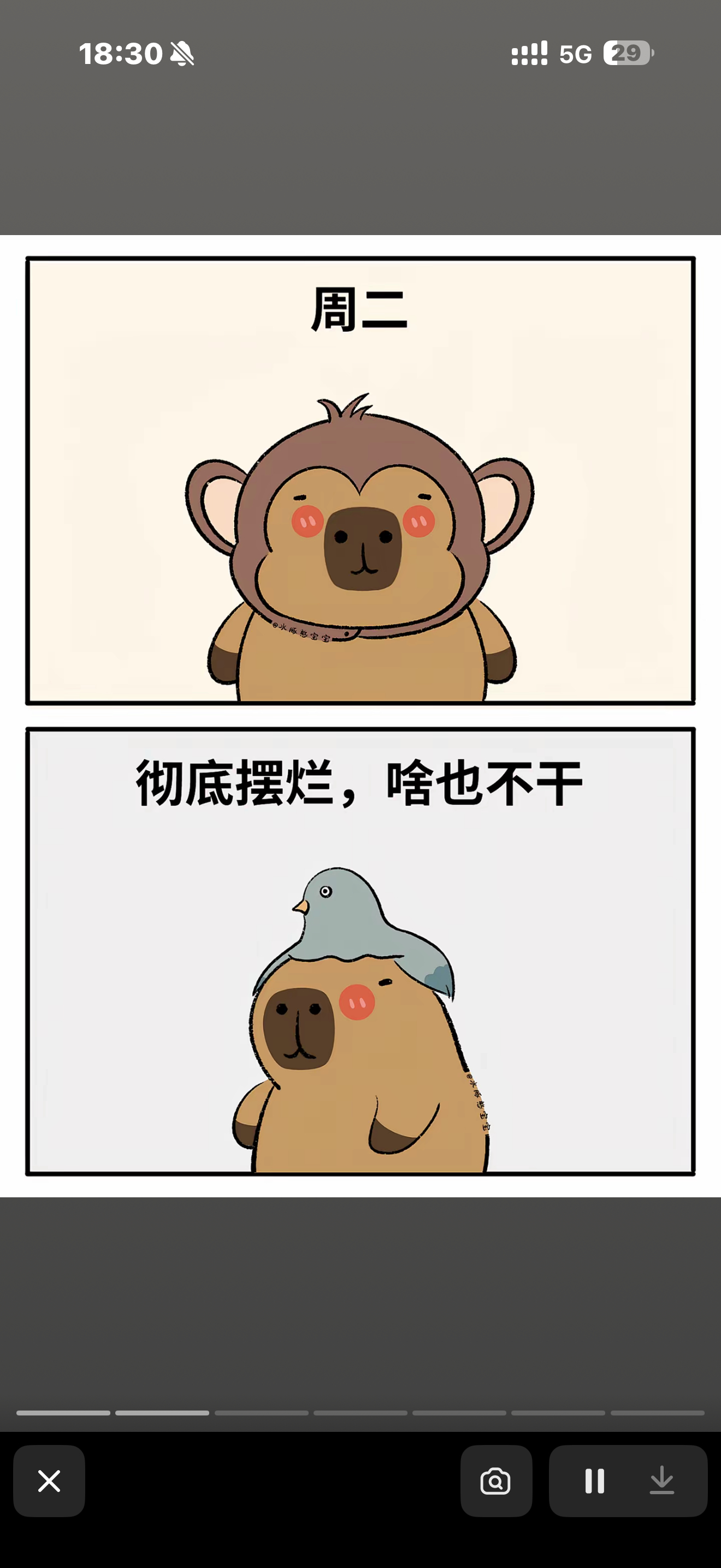 是这样的吗？大家上班是懂补觉的 ​​​