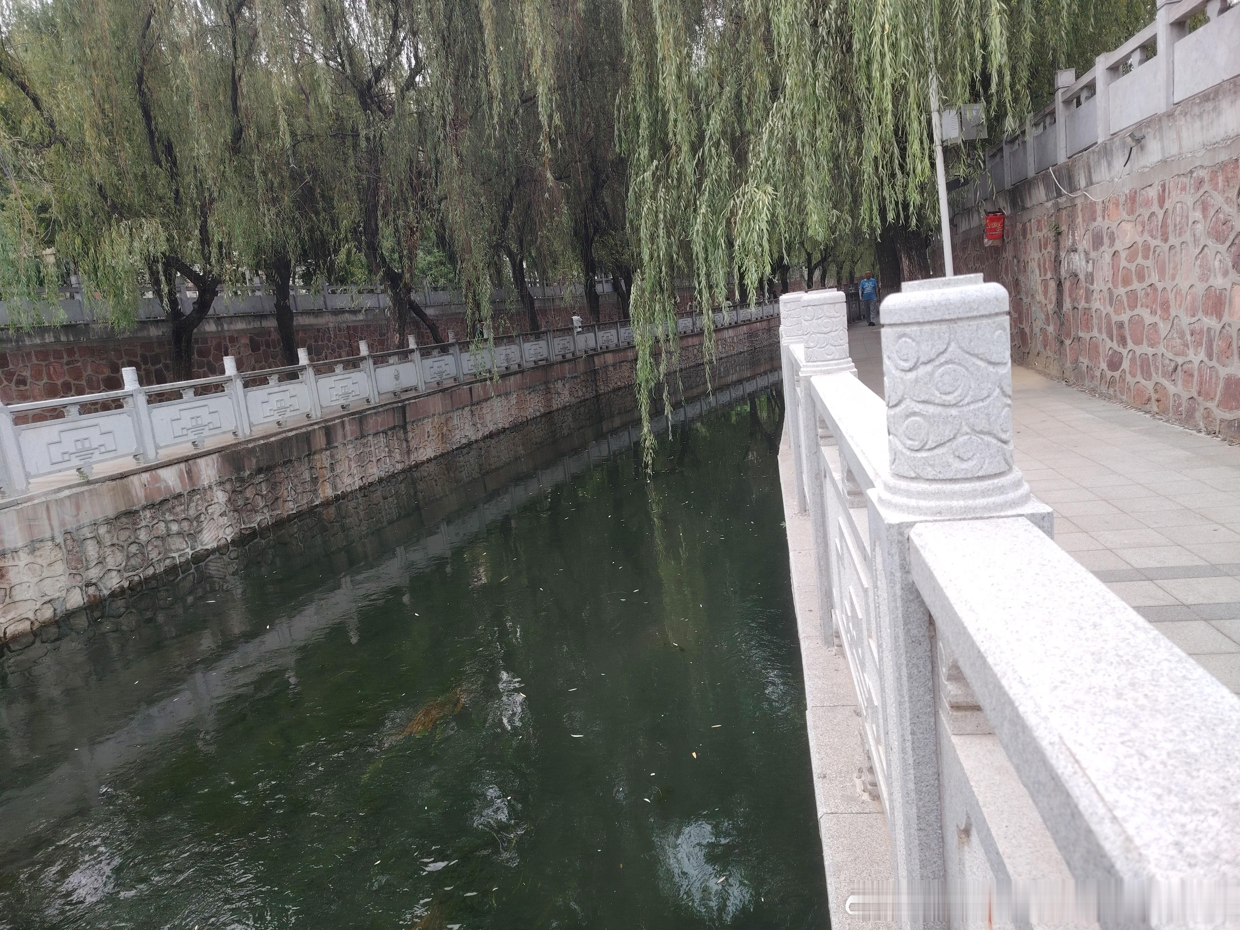 早上好，遛弯儿了没有？今天很凉爽。 