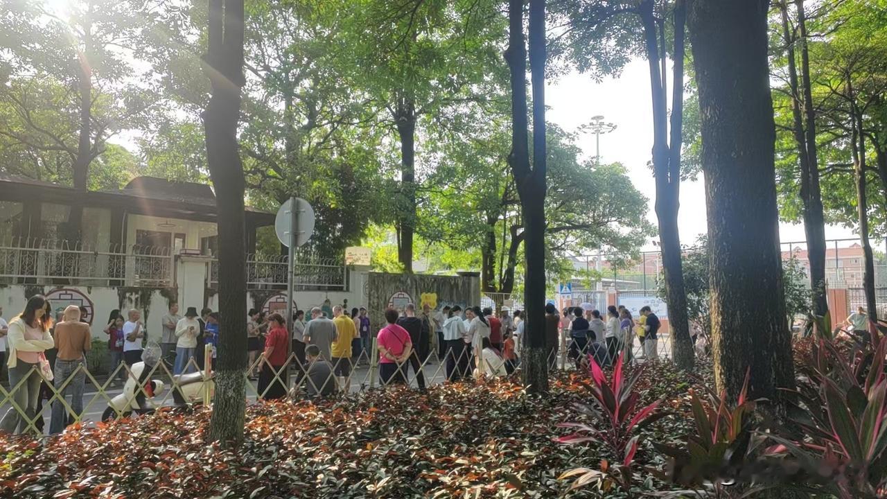 等！

下午4：05
是放学时间。
看这些爷爷奶奶、爸爸妈妈，他们都在翘首盼望着