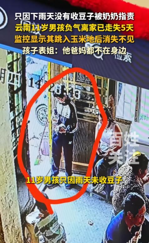 担心的事情还是发生了！云南昭通，11岁男孩因为忘了帮奶奶收豆子，被奶奶痛骂，一赌