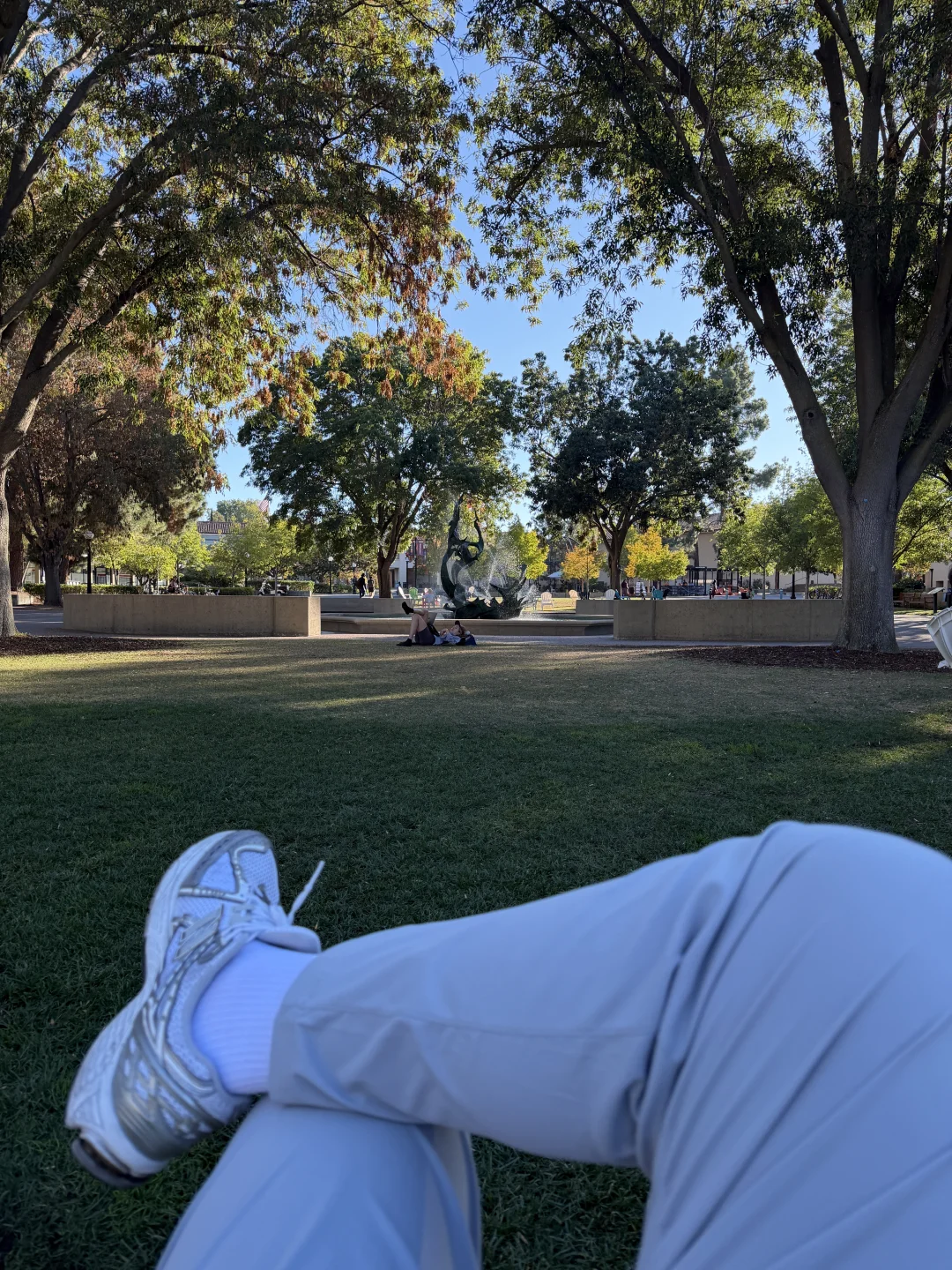 🇺🇸加州物价和税是高，但气候和景色真的绝