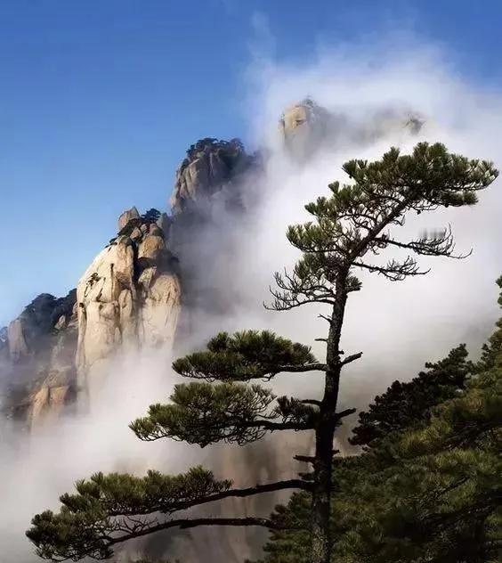 这麻将馆老板娘真是纯纯大冤种。一下午给三家发本金，结果散场全变记账，为了赚100