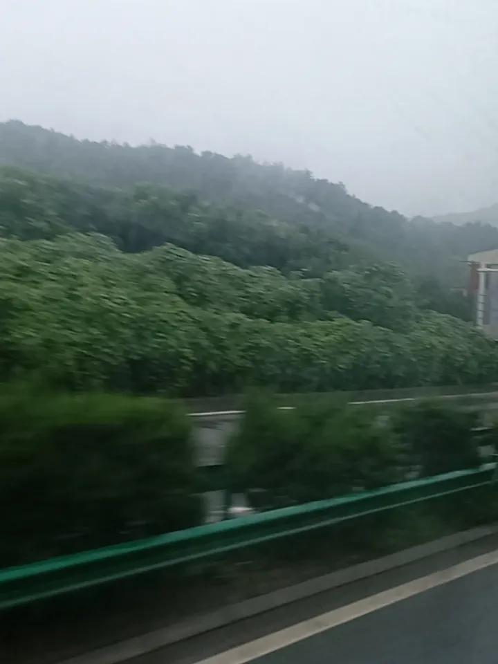 《雨霁观山悟心》

枫林红叶
 
天酬夜雨，拂晓方收。乘车途中平视窗外，远山笼着