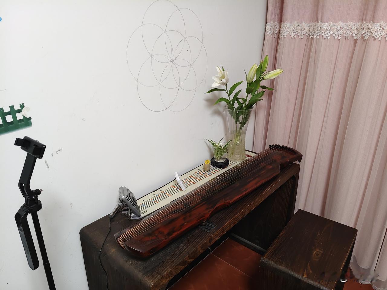 花了8元钱买了四颗百合花苞，发现这钱花的太值了，刚买回家的时候还是花骨朵，这两天