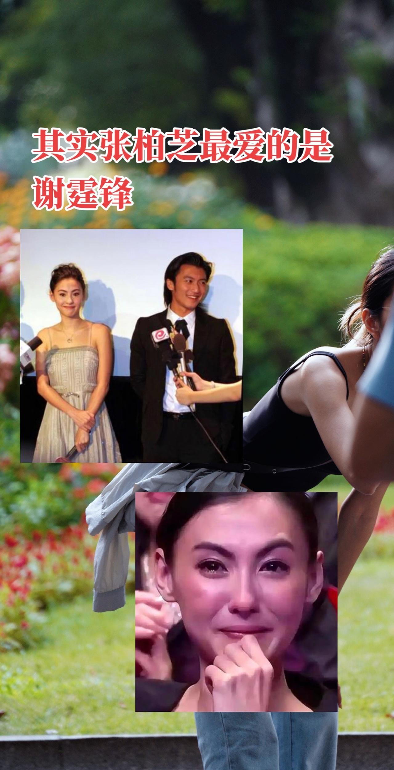 张柏芝