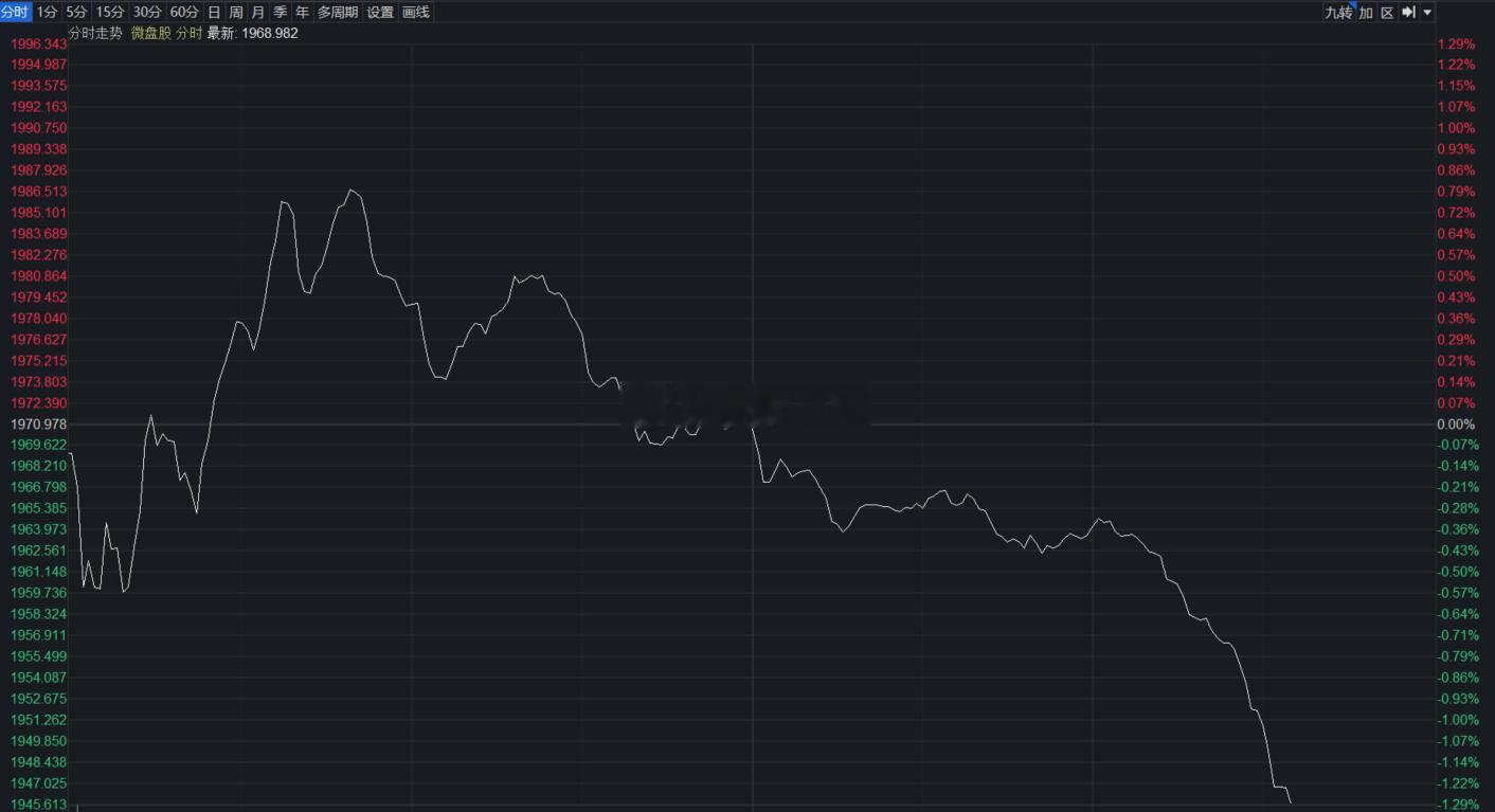 微盘股，临时尾盘，砸一波大的。 