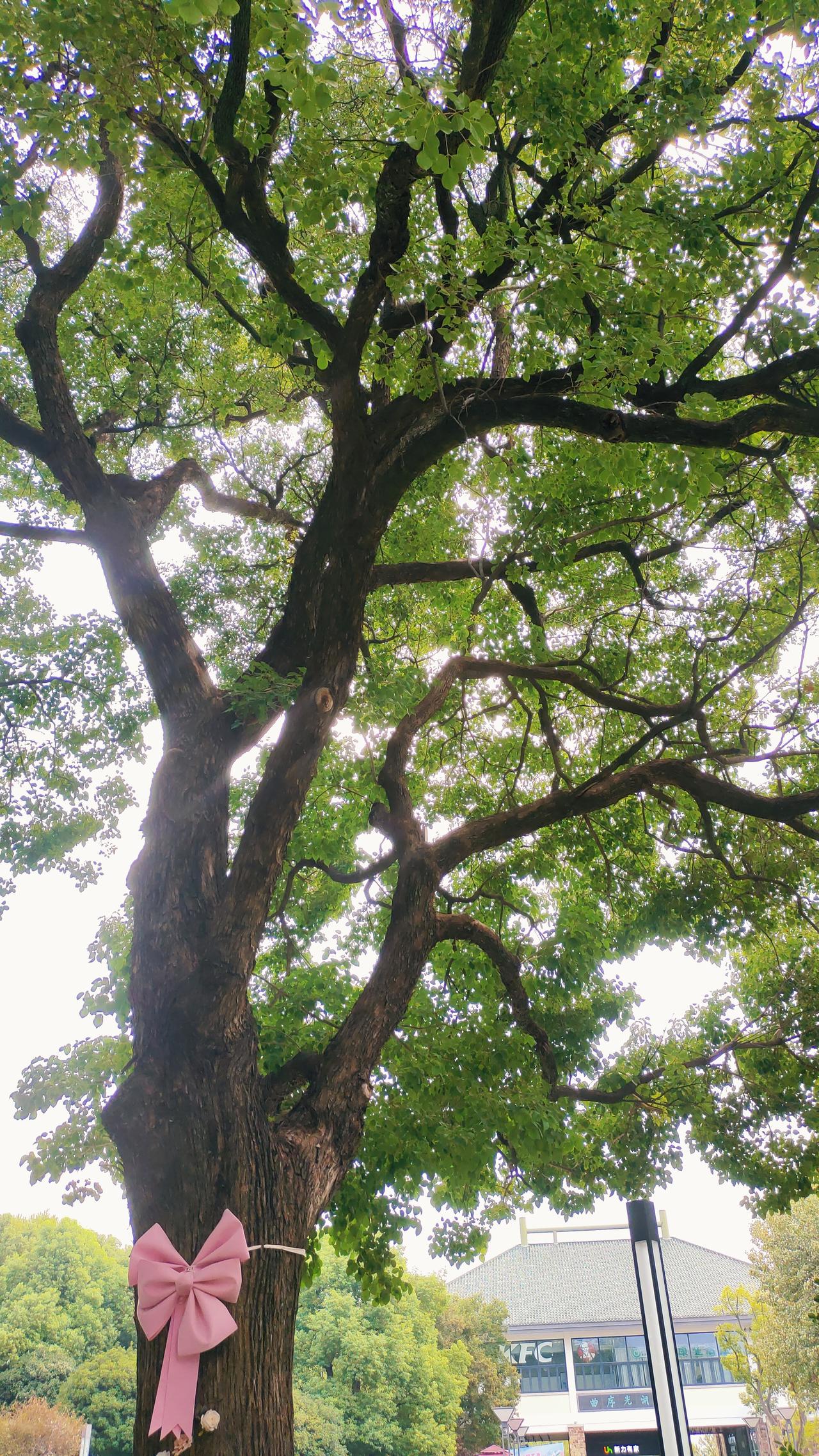 闺蜜的朋友找她借钱
闺蜜有一个好朋友找她借钱，她觉得他人不错，很相信他。

朋友