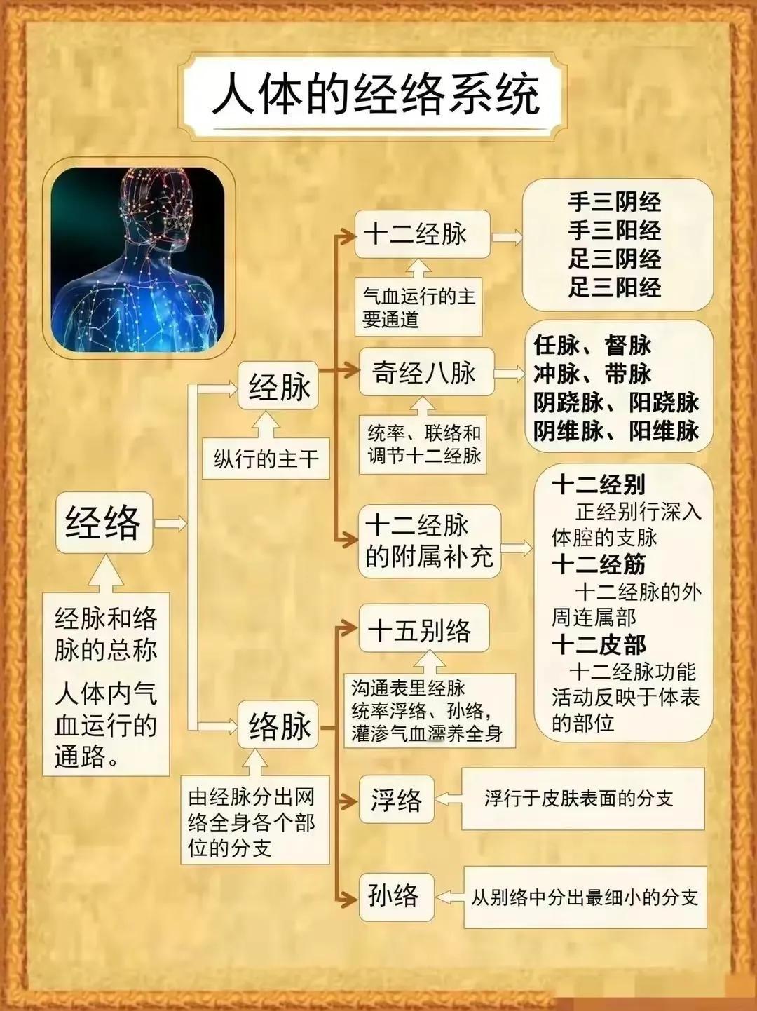 你是否好奇中医中的“经络”究竟是什么？它为何如此神秘又重要？今天，就让我们一起揭