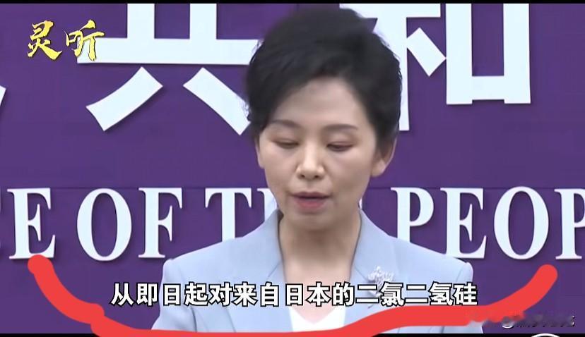 招儿招儿致命，日本真的快完蛋了！

从钝刀子割肉到“一剑封喉”高市叫嚣武力涉台后