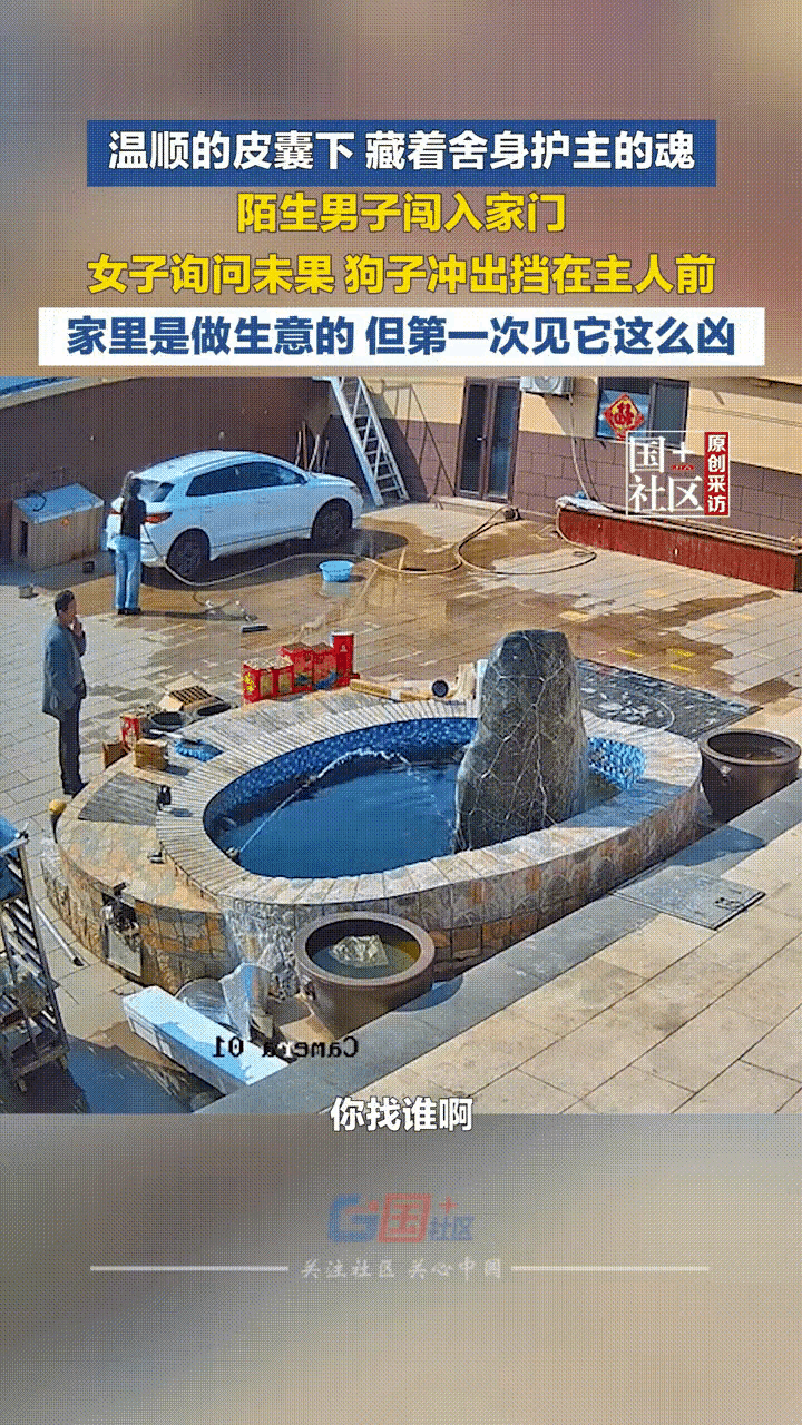 陌生男硬闯庭院眼神发直，女主刚要开口，家犬突然疯咬将其逼退：它真能识人？

午后