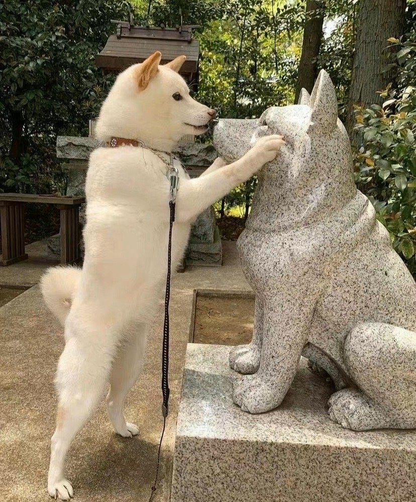 宝，你怎么被封印起来了？ 
