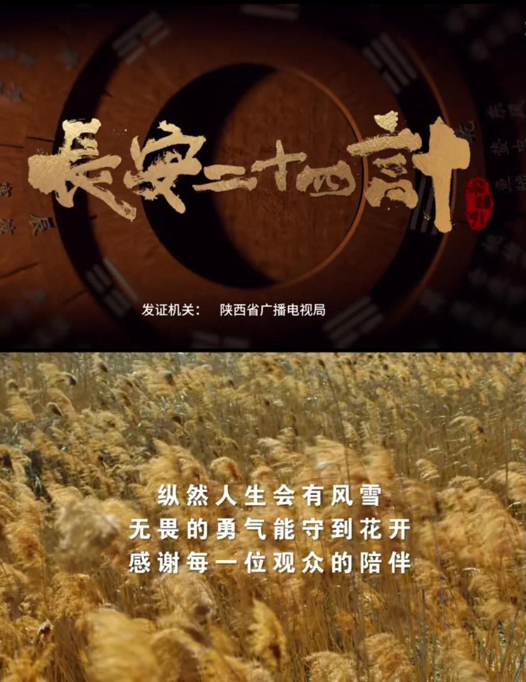 长安二十四计 ending
这部剧你真的是一点也猜不到下一步走向 成毅又一部好剧