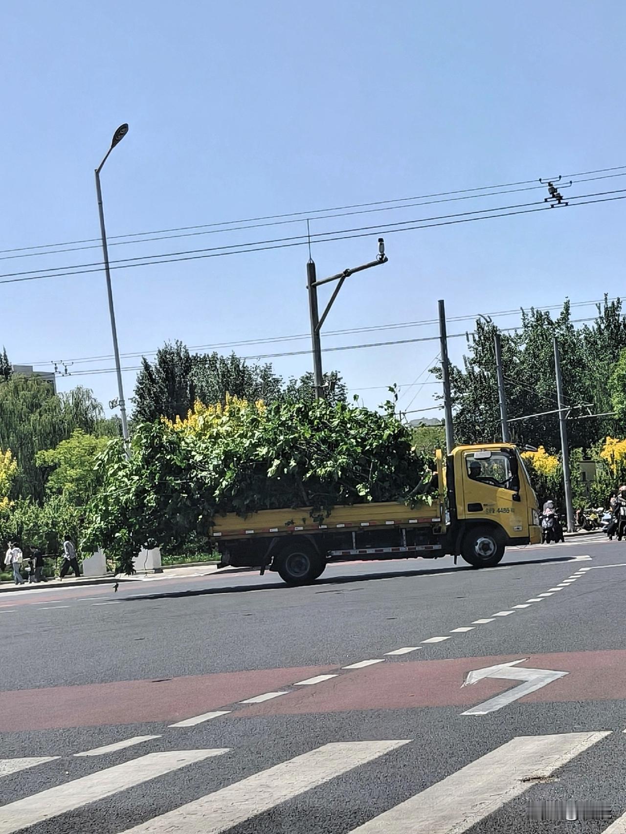 我的车驶到十字路口，正好遇上红灯。
我清楚地瞧见马路那边有一辆黄色卡车，载着一车