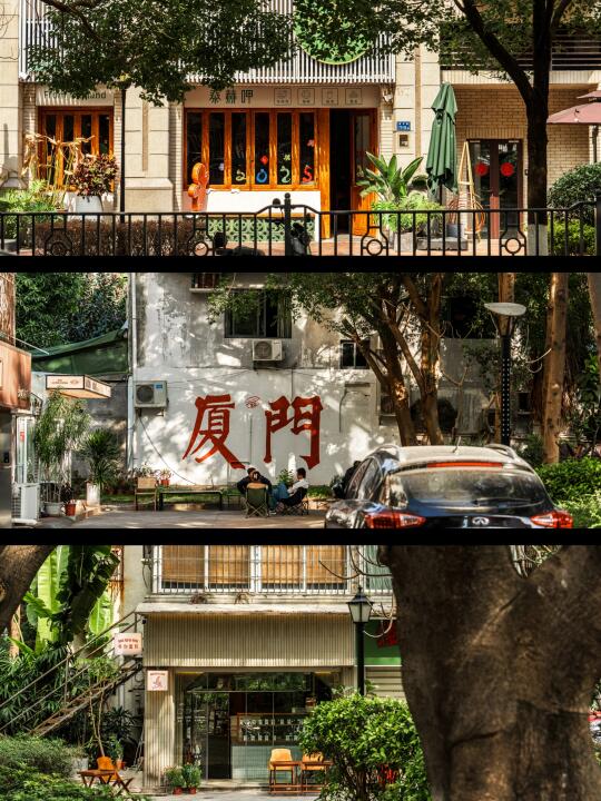 厦门拍照|在心念念的地方·看春光幻化成诗