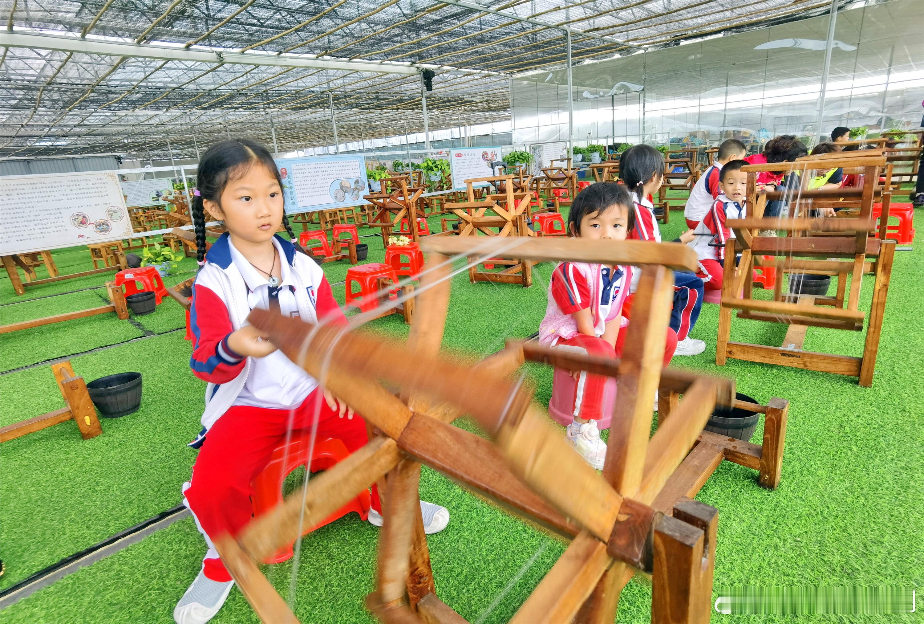 春归恰恰，时节正好，学子们走进佛山渔耕粤韵文化旅游园，剪一段春色留存，拈一缕花香