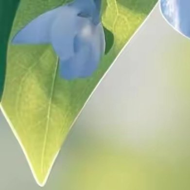 清凉，会轻柔地拂去了人心中的燥热与疲惫。深吸一口气，清新的空气带着泥土的芬芳、花