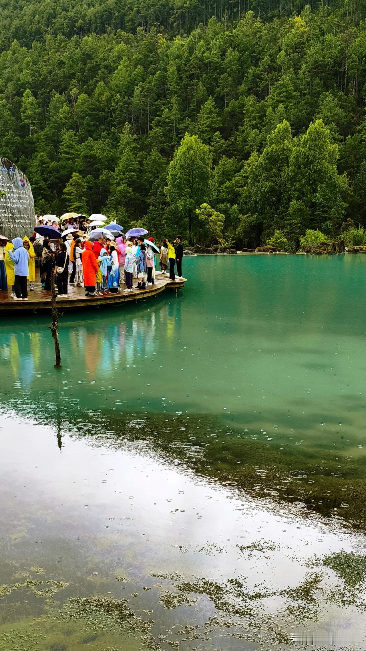 南京夏天热得像火炉，还好台风“白海豚”来了！受它影响，到本周五南京最高气温降至3