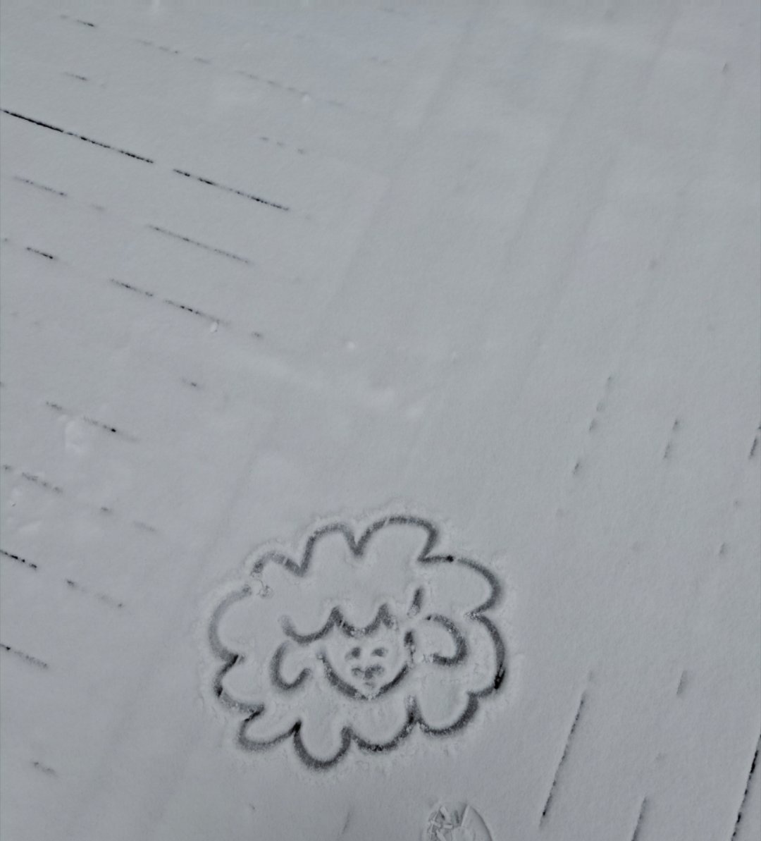 哦对，早上还在雪地里画了个小羊咩西🐐画得不好