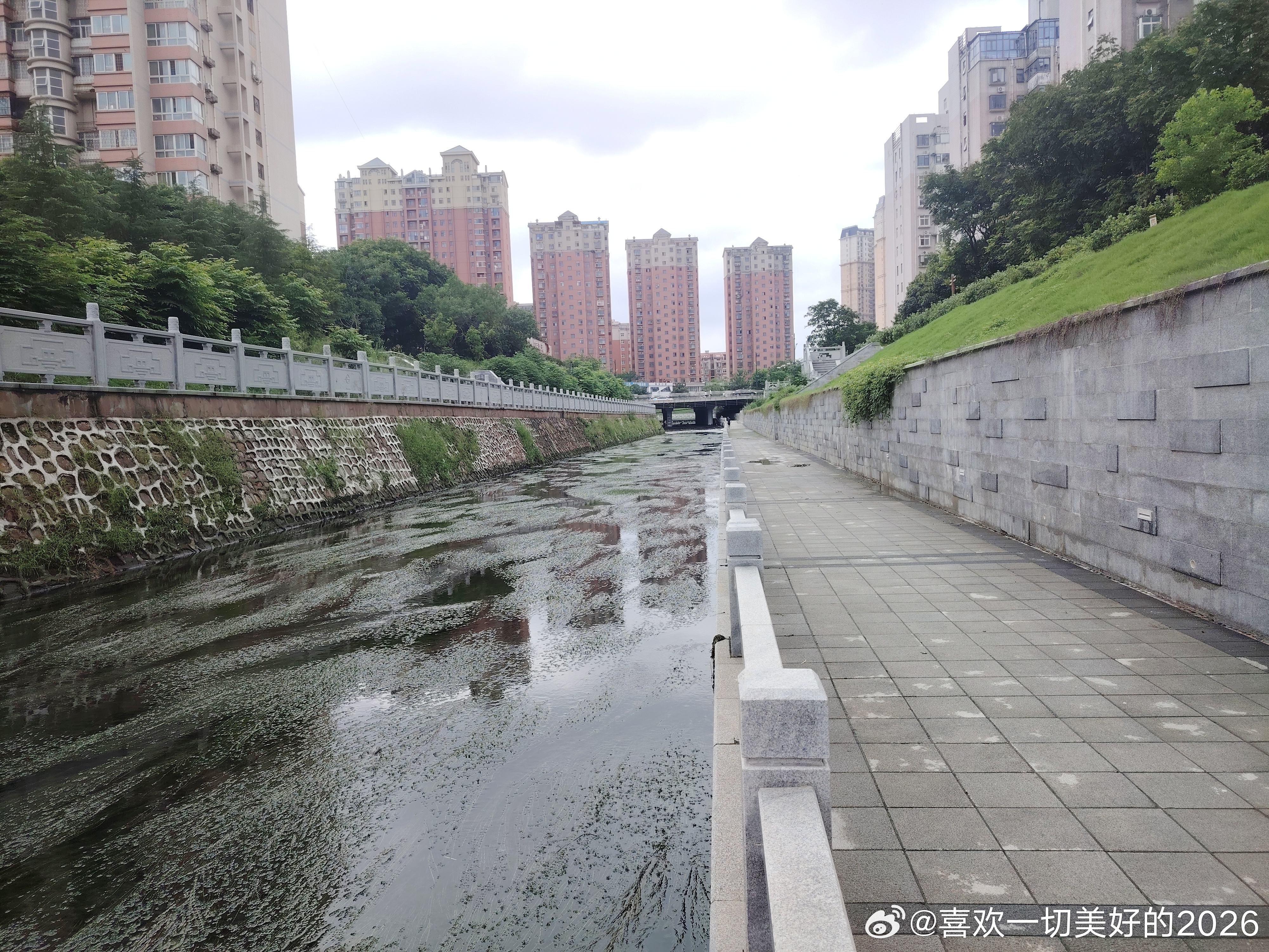 跑河八公里 