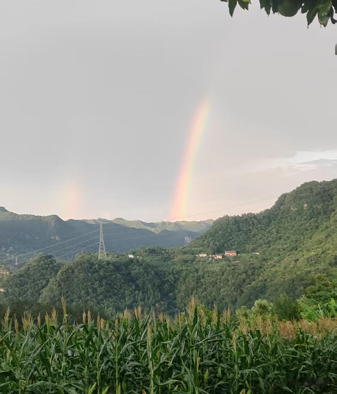 《及时雨》

暴雨来临之前，
彩虹轻倚云天。
清风漫过身旁，
吹散盛夏燥热。
远