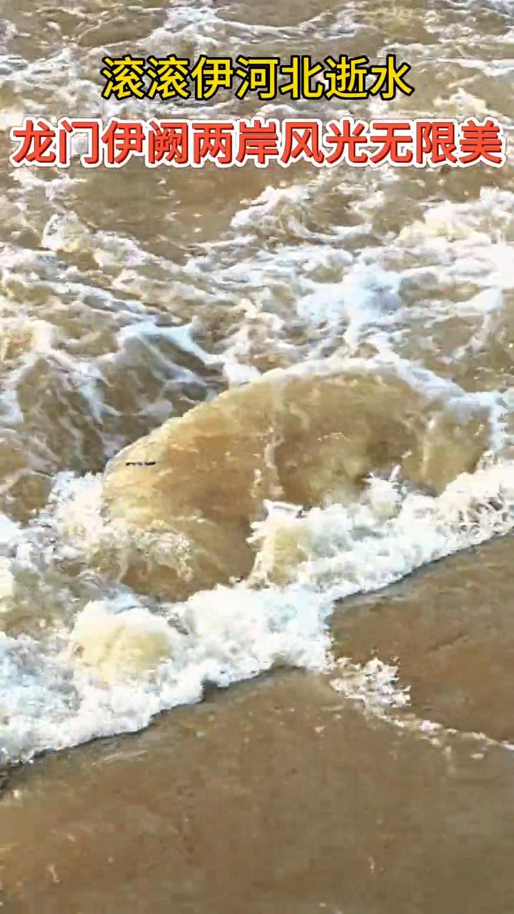 滚滚伊河北逝水，龙门伊阙两岸风光无限美。