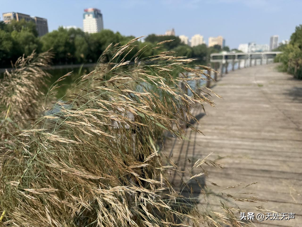 今天老板和我谈心，主要就是要加担子，还是“加量不加价”的那种，我很愤怒，但是能奈