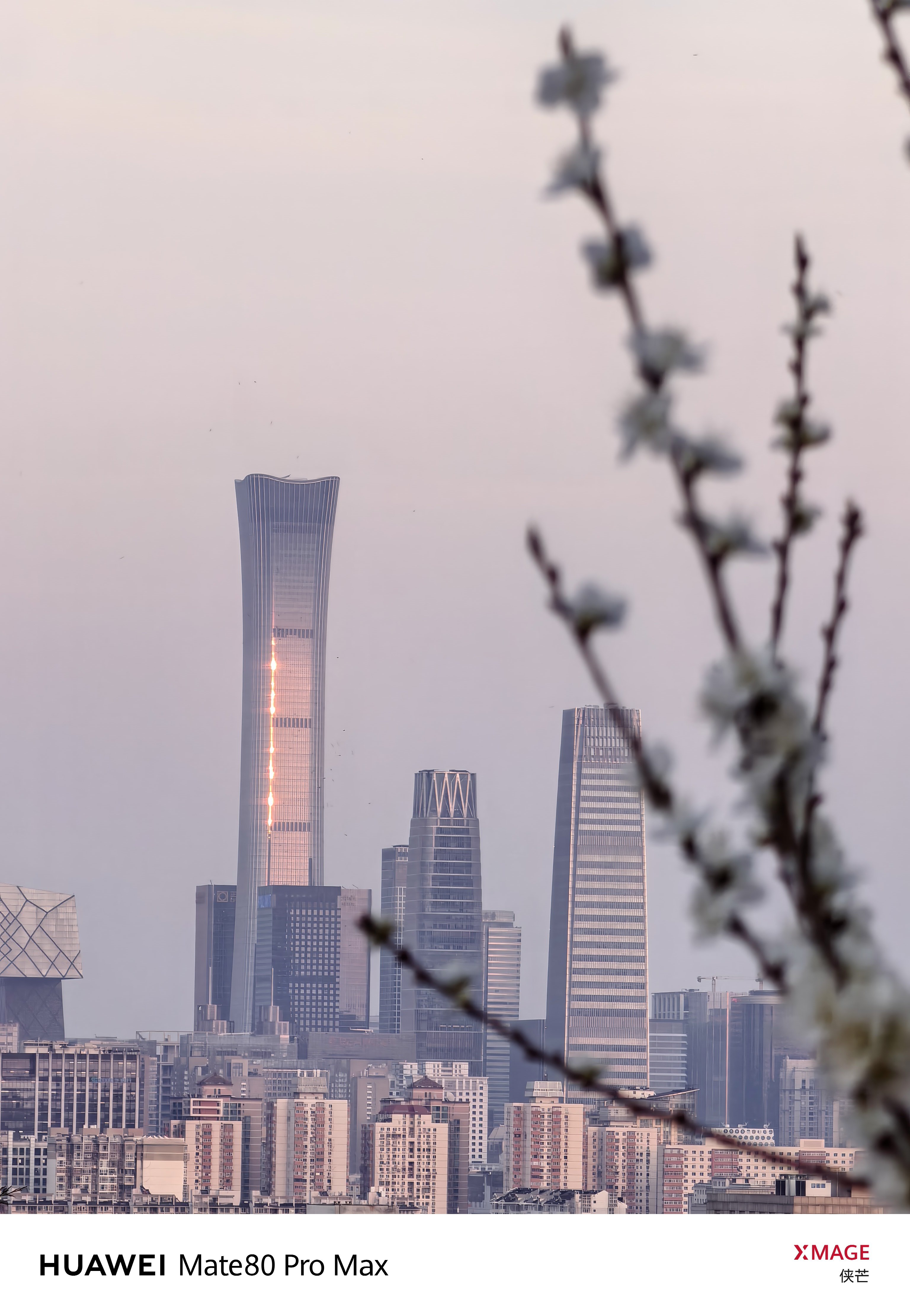 景山春早 万春花开        琼枝缀雪，檐角衔春。        登万春亭，