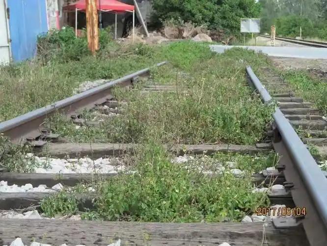 遍地杂草的废弃铁路，拆了能赚几十亿，国家为啥宁愿荒着也不动？

走在城郊或者老厂