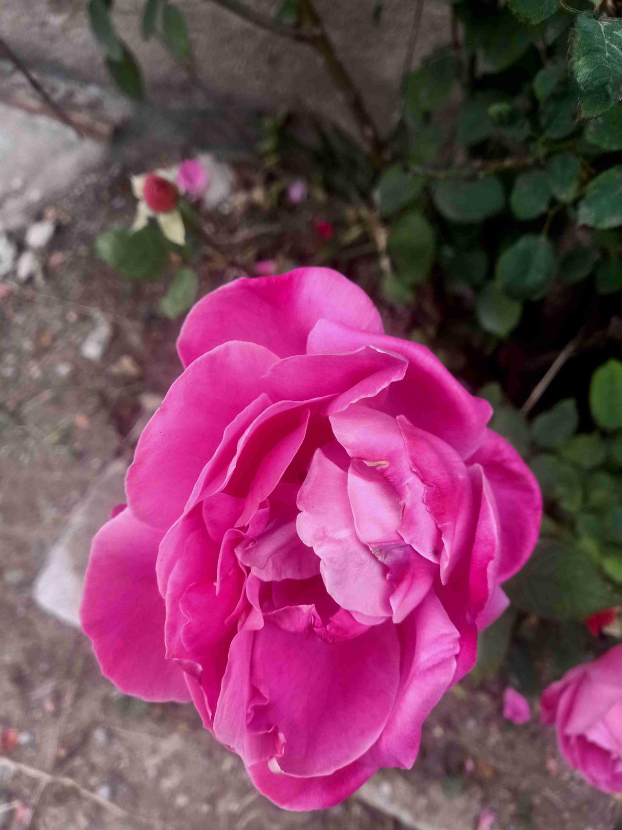 我的今日状态：🏝️旅行度假
我这里的天气：🍂微风