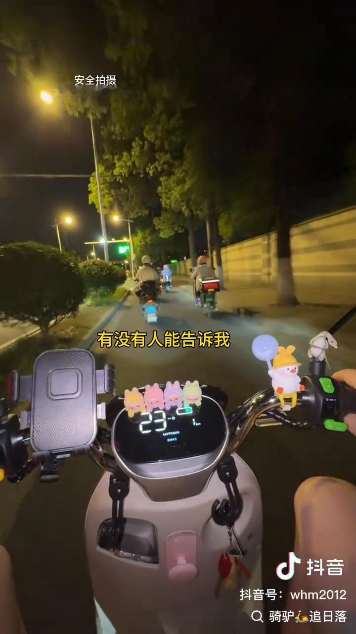 骑驴追日落。
牛马的怒吼：我早起就当牛马，干到了黑天还没回家。有没有人能告诉我，