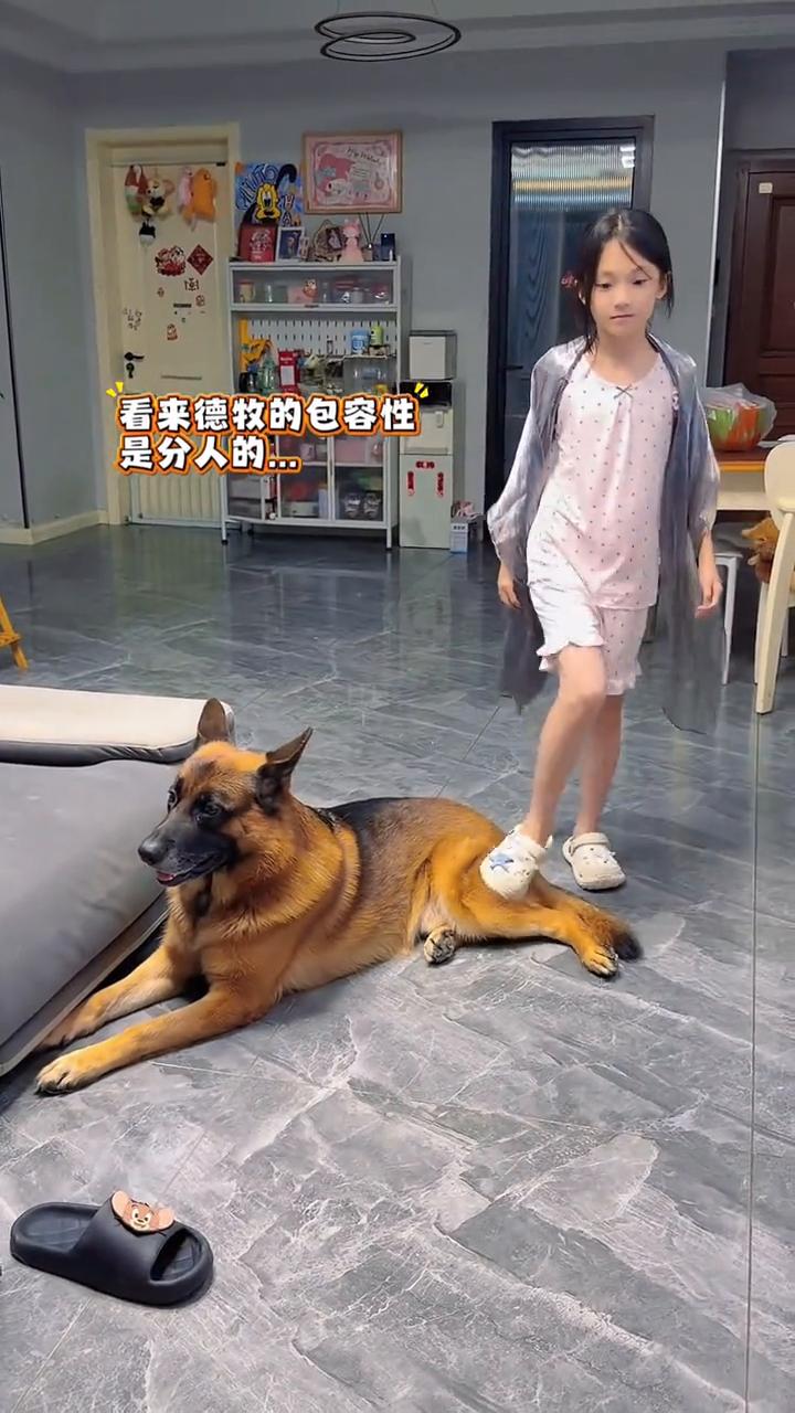 你在干什么？给我打，直接瞄准轰他娘的，烦死了。