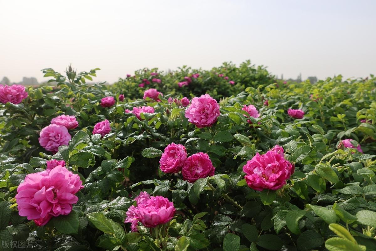 人生没有标准答案，每个人都有自己独特的解题方式。活出自己的风采，便是最好的答案。