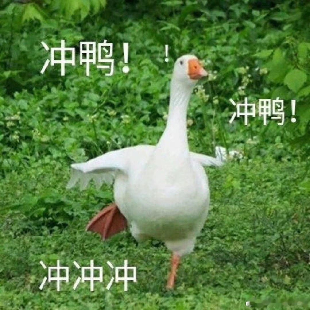 #中国奥运军团荣耀时刻#五星红旗在巴黎升起是所有奥运健儿努力拼搏的结果 ​​​