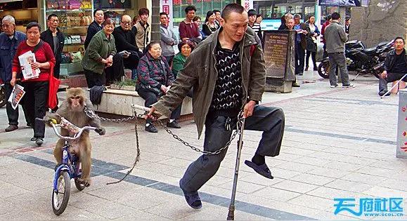 叫爹给百元大票
有一天，一个玩杂耍的残疾小伙子，在县城街头牵着一只小猴子玩推车，