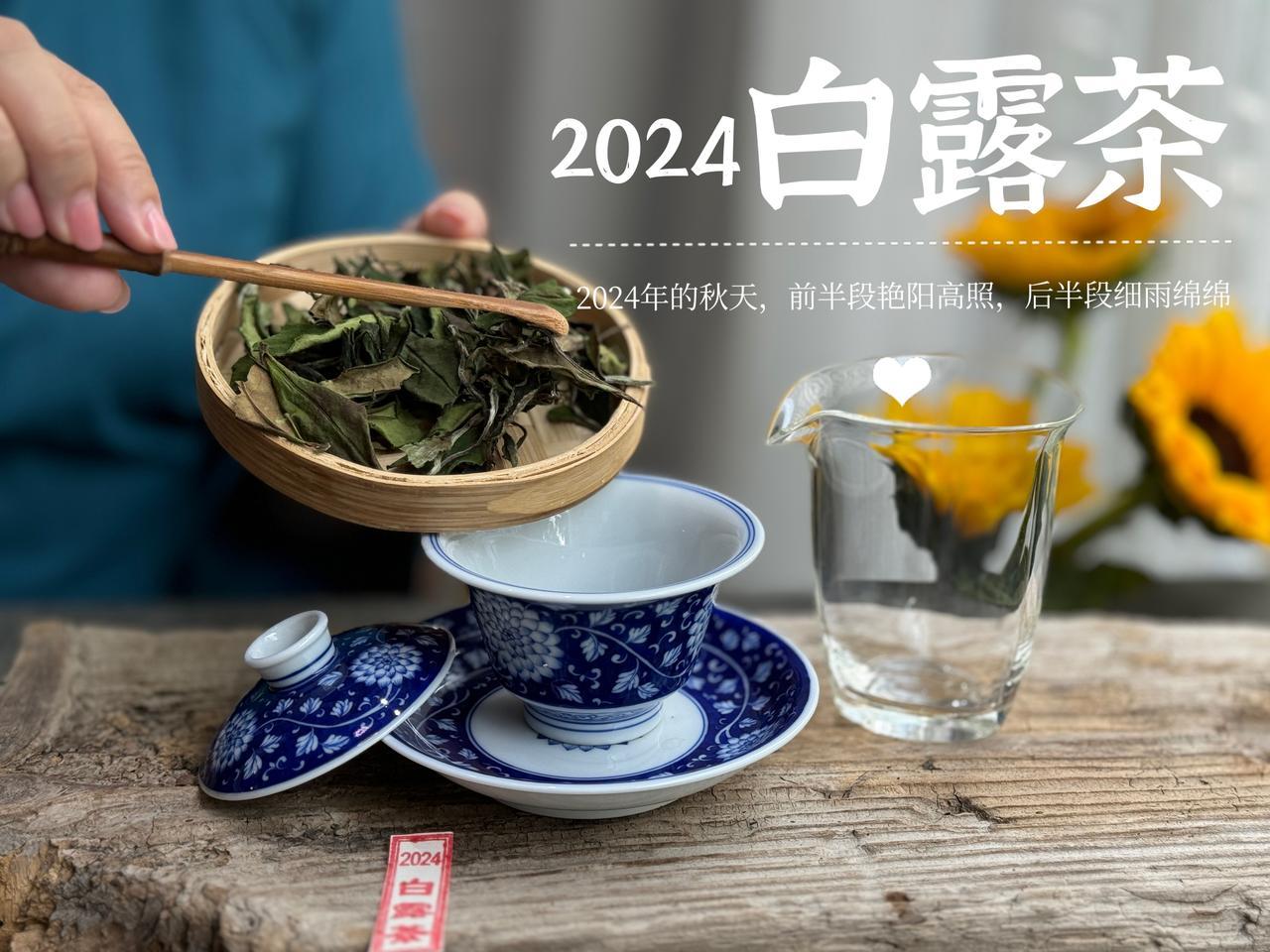 泡白茶，定点注水好还是环壁注水好？
定点注水是指在注水时，对着盖碗中干茶固定的一