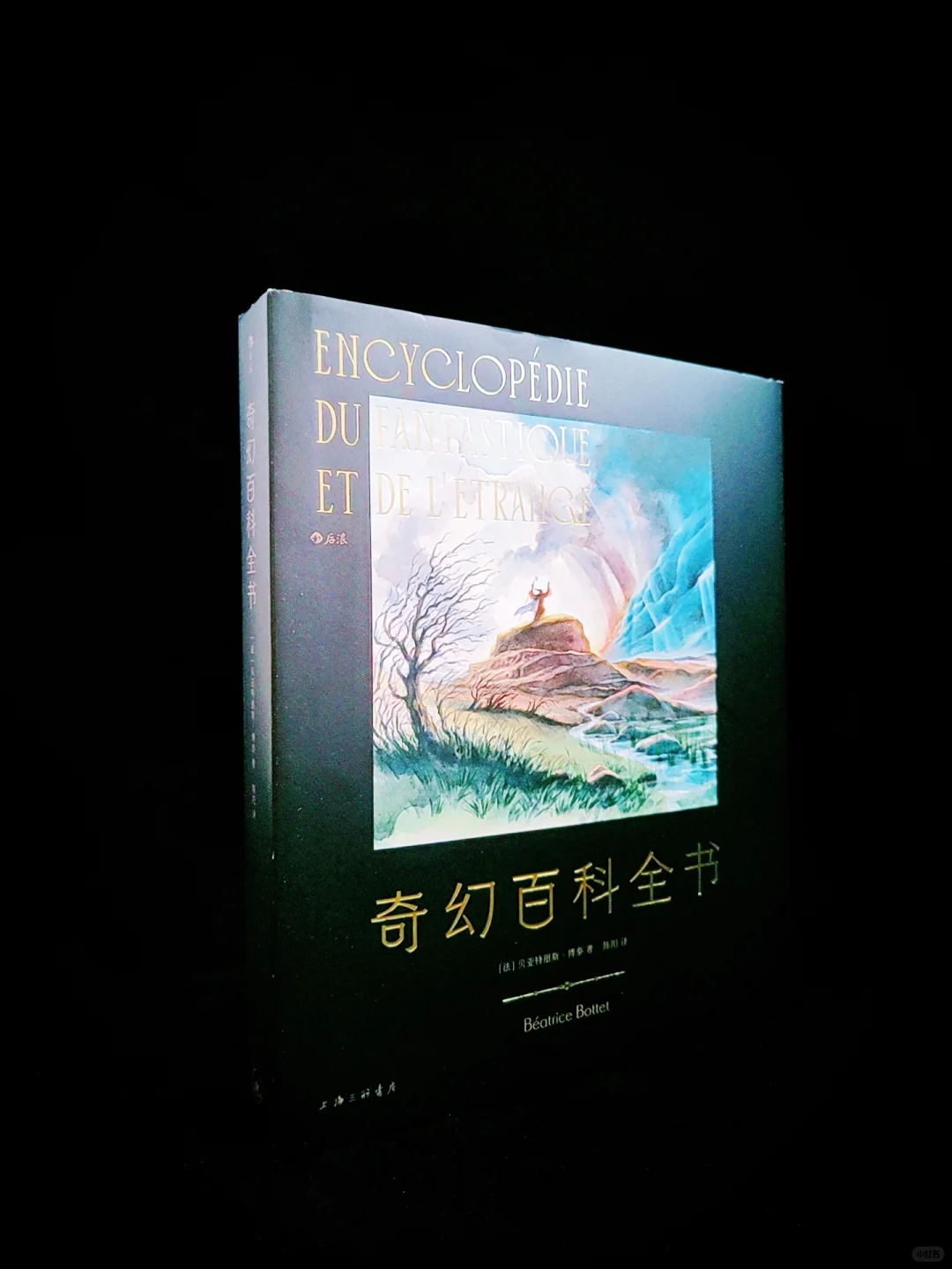 救命！翻开这本奇幻百科，可以随地大小变！