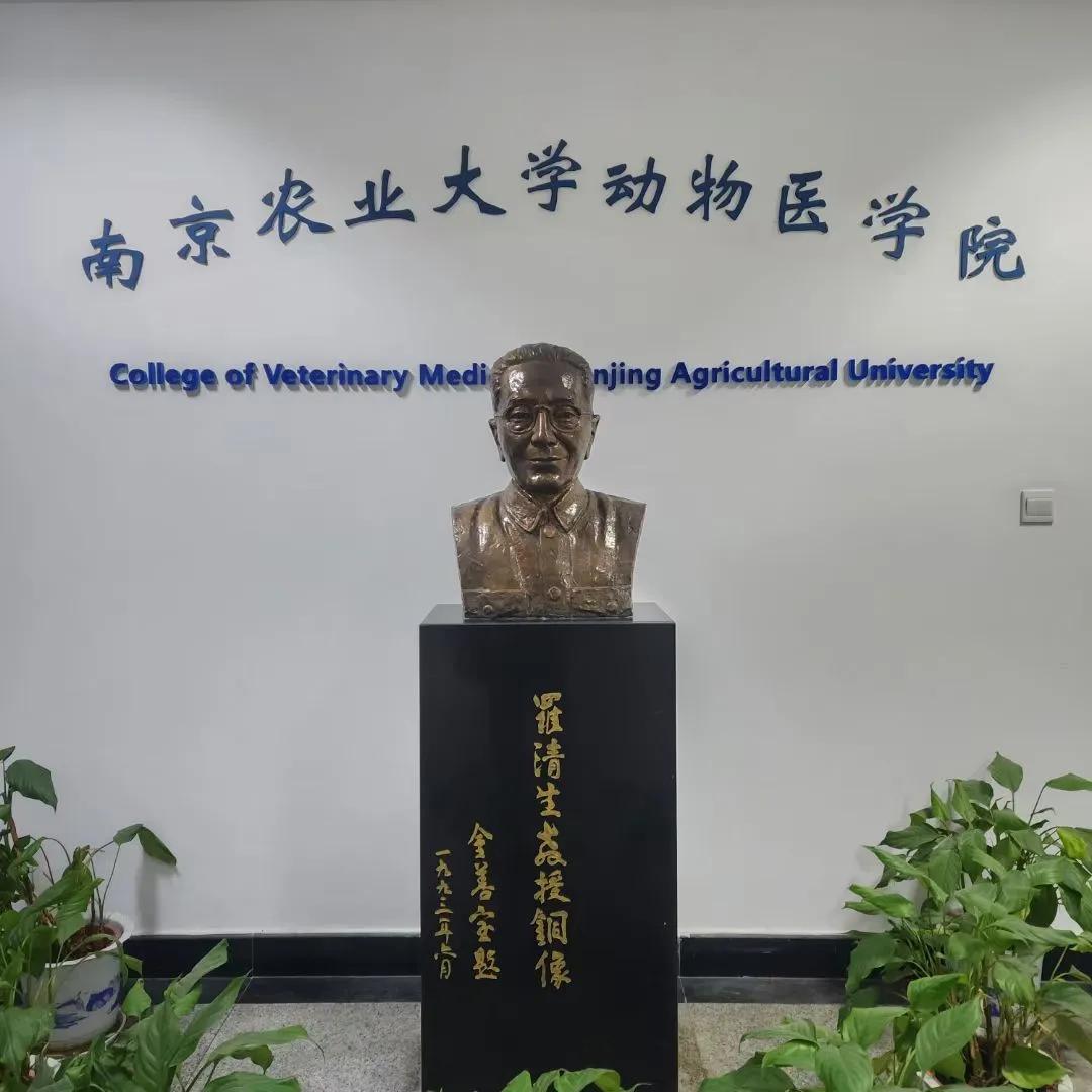 老爸一早来开茶话会，我在外面读李可的书，打算看完给念中医院的侄女儿。
（文化滋养