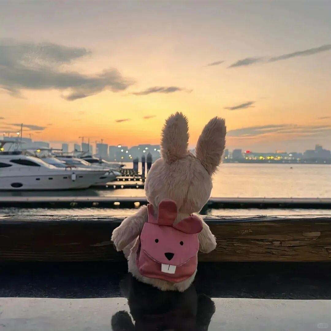 刚开始，对你是这一种好感，然后慢慢变成了一种喜欢，再后来，变成了很爱，之后爱你成