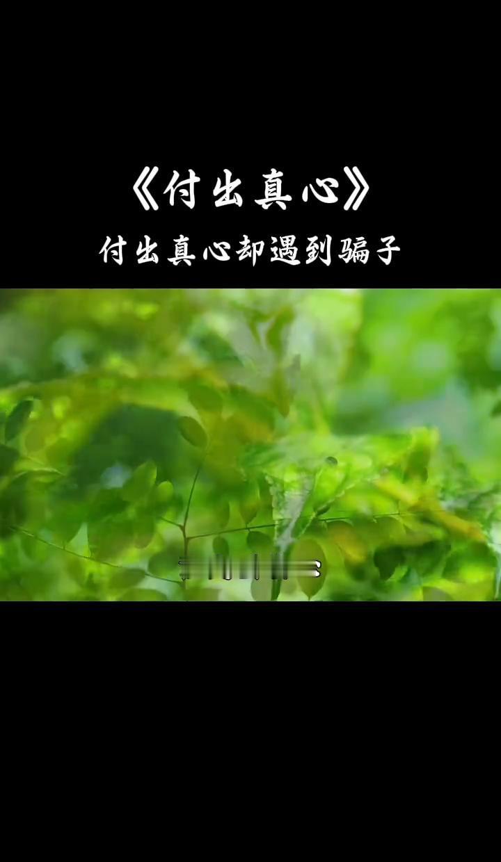 你以为真心被骗只是掉几滴眼泪？65%的人从此再也无法彻底相信任何人。
感情骗子不