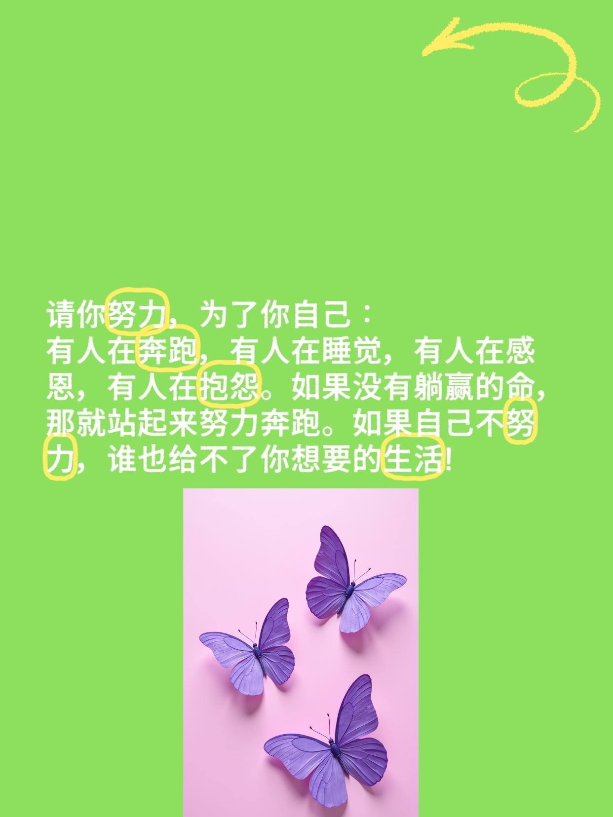 柜绝将“加油1”神圣化，重建“工作_生活_健康”平衡的社会契，才是可持续发展的根