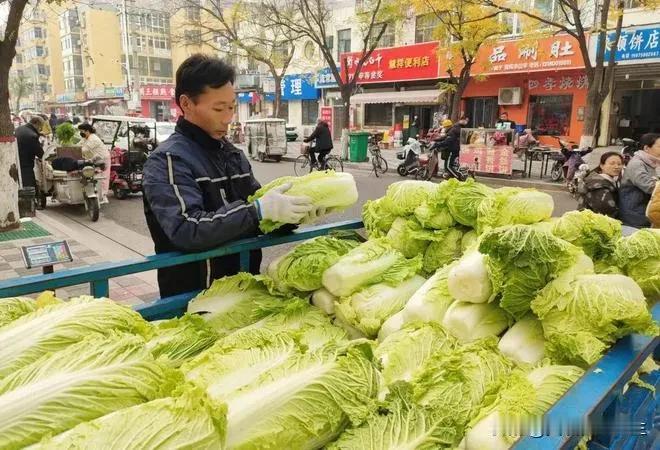 过完冬至、下大雪之前，我们本地的白菜、萝卜、青菜都便宜，一下大雪，马上翻倍。
