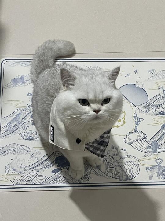 怎么不开心呢