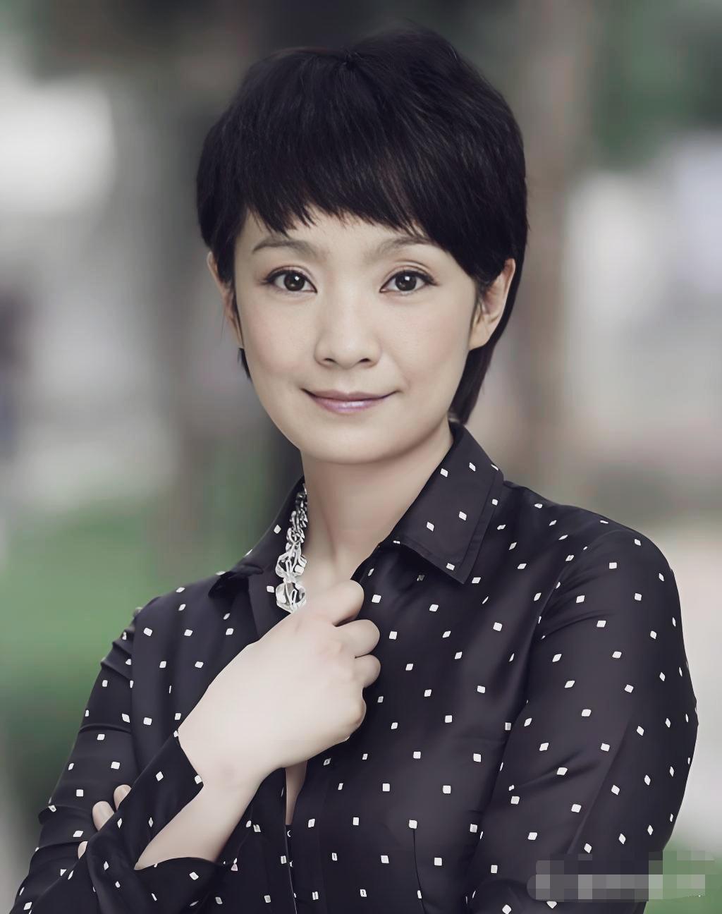 王海燕，张嘉译的妻子，利落黑色超短发，清爽干练，眉眼柔和圆润，眼神沉静温婉，职场