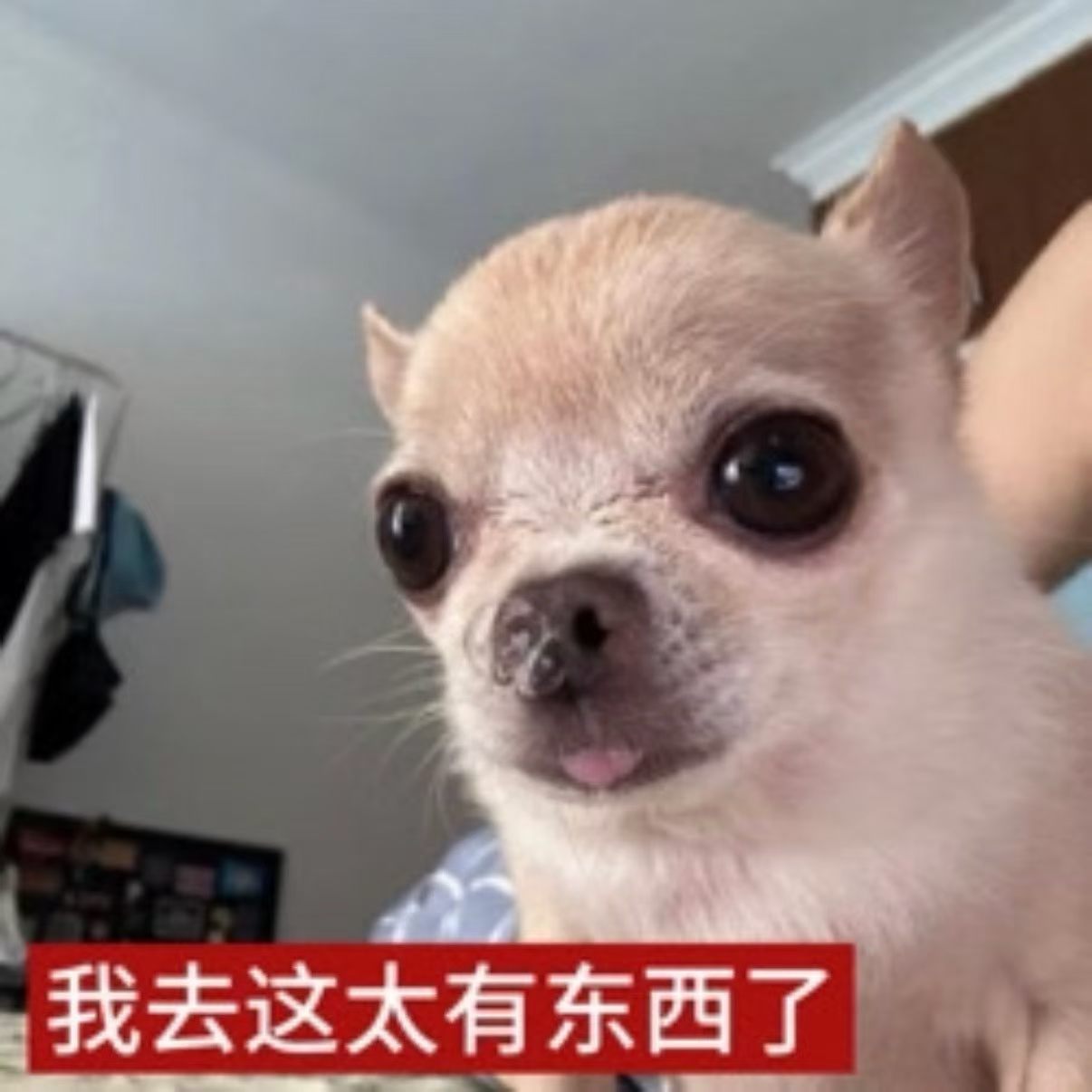 [笑cry]之前还在网上看到有网友吐槽说，想结婚的情侣一定要先去日本东京坐一次地