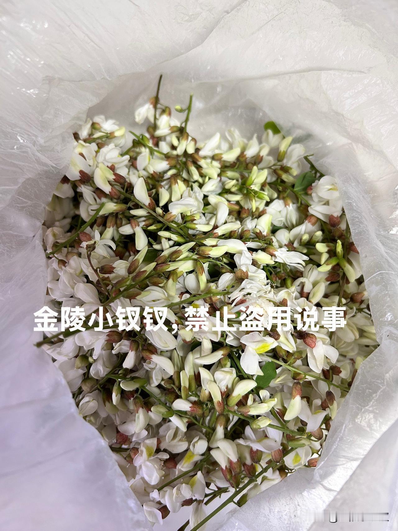又是一年槐花开！

今天去药乡森林公园打卡，就看到有当地的居民正在拿着一个杆子顶