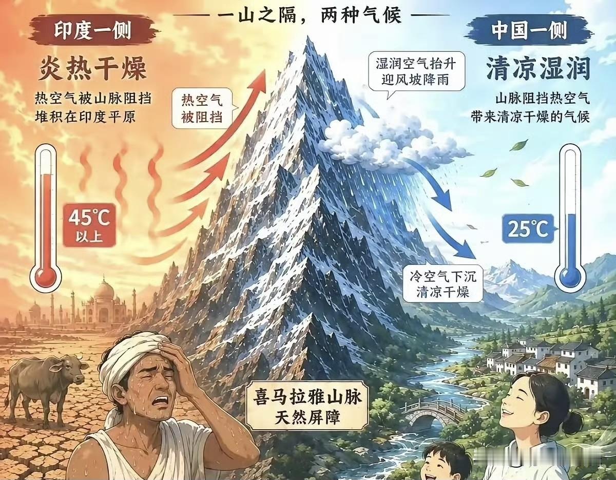 印度高温50℃的原因找到了，印度庙宇屋顶的大蝙蝠，因高温缺水而休克