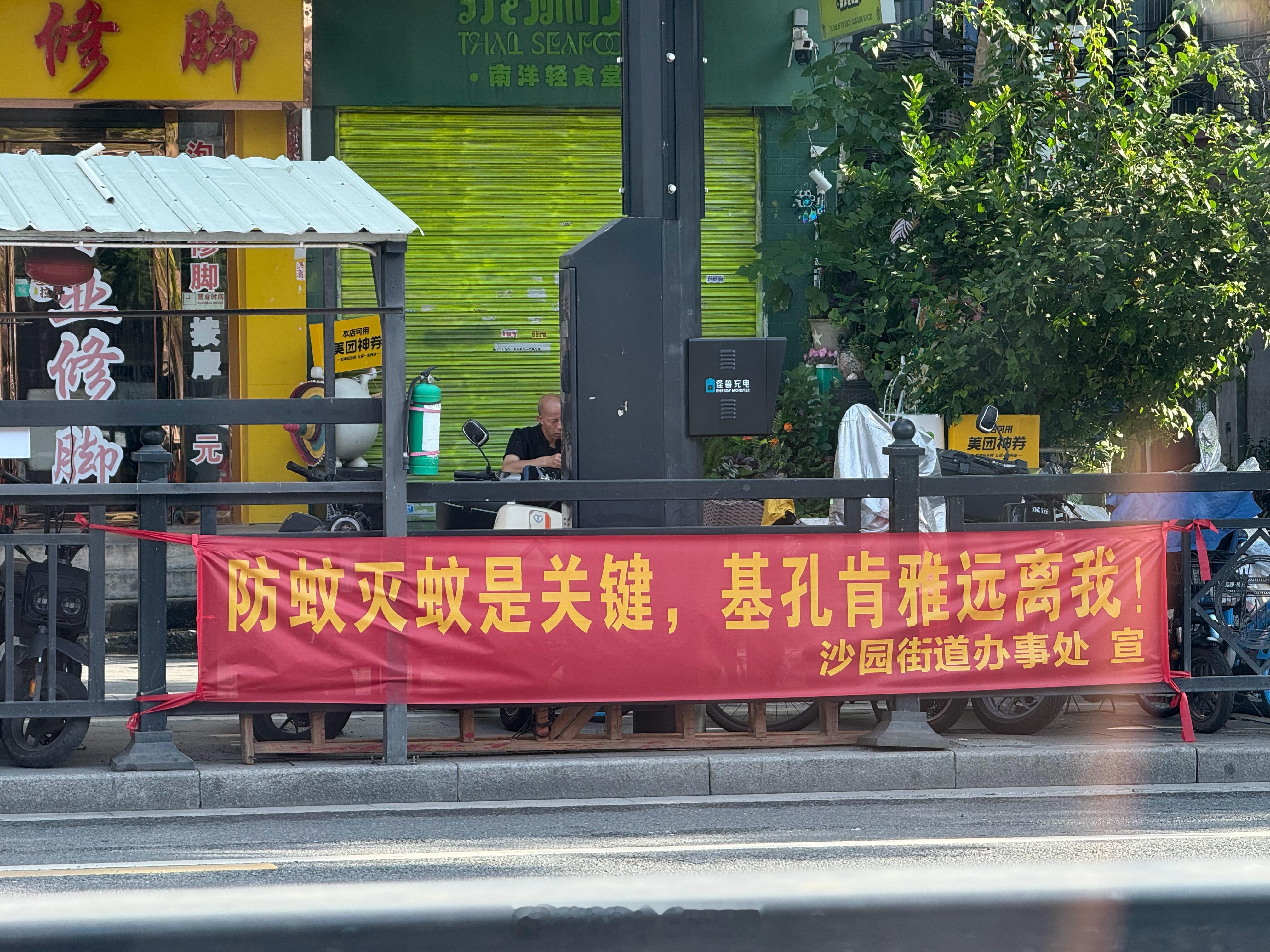 全城警惕蚊子🦟 ​​​