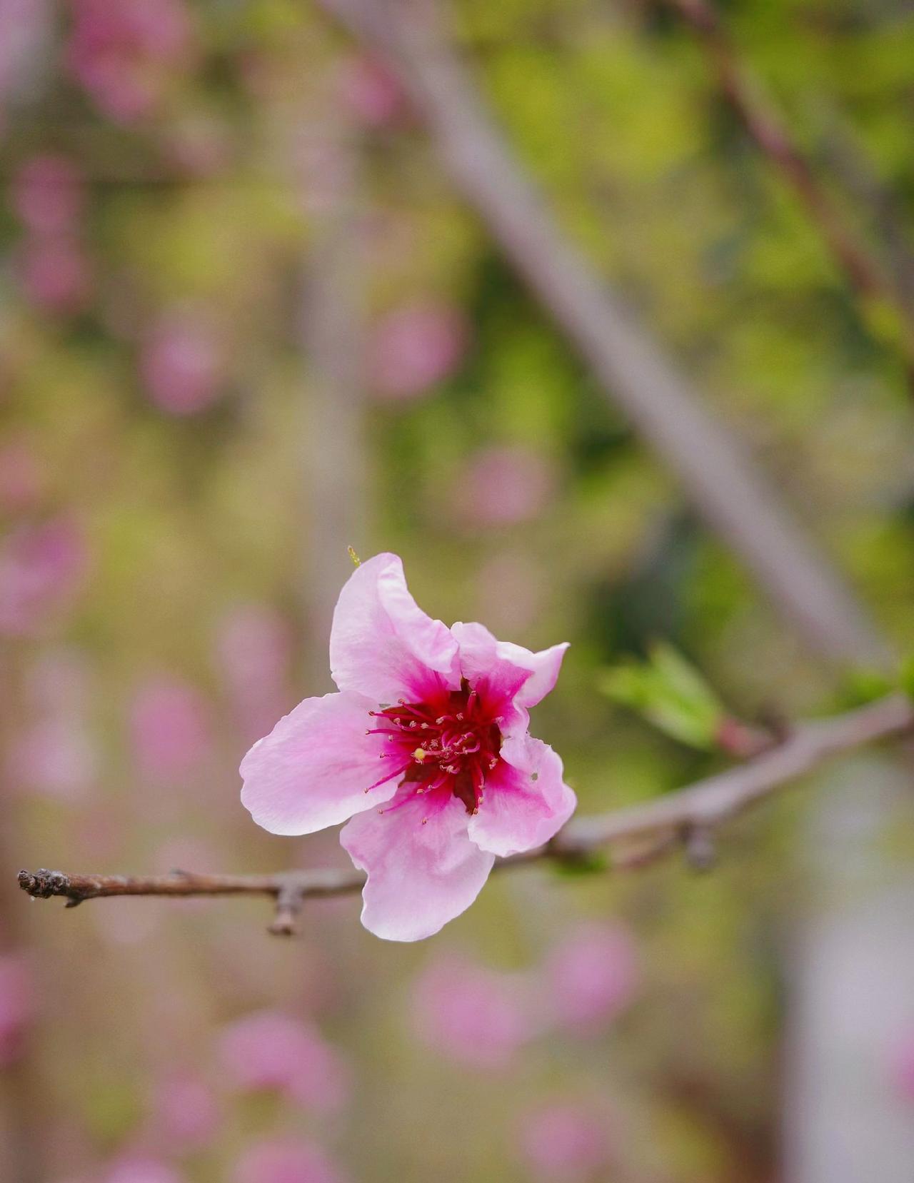 ：）
“毁掉一个男人，让男人最快的堕落就是染上看黄片的毛病，你觉得是在释放放松，