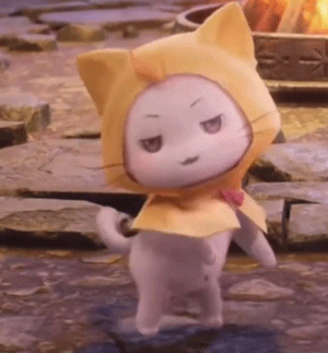 我家胖猫过生日了呦 赏五花肉 