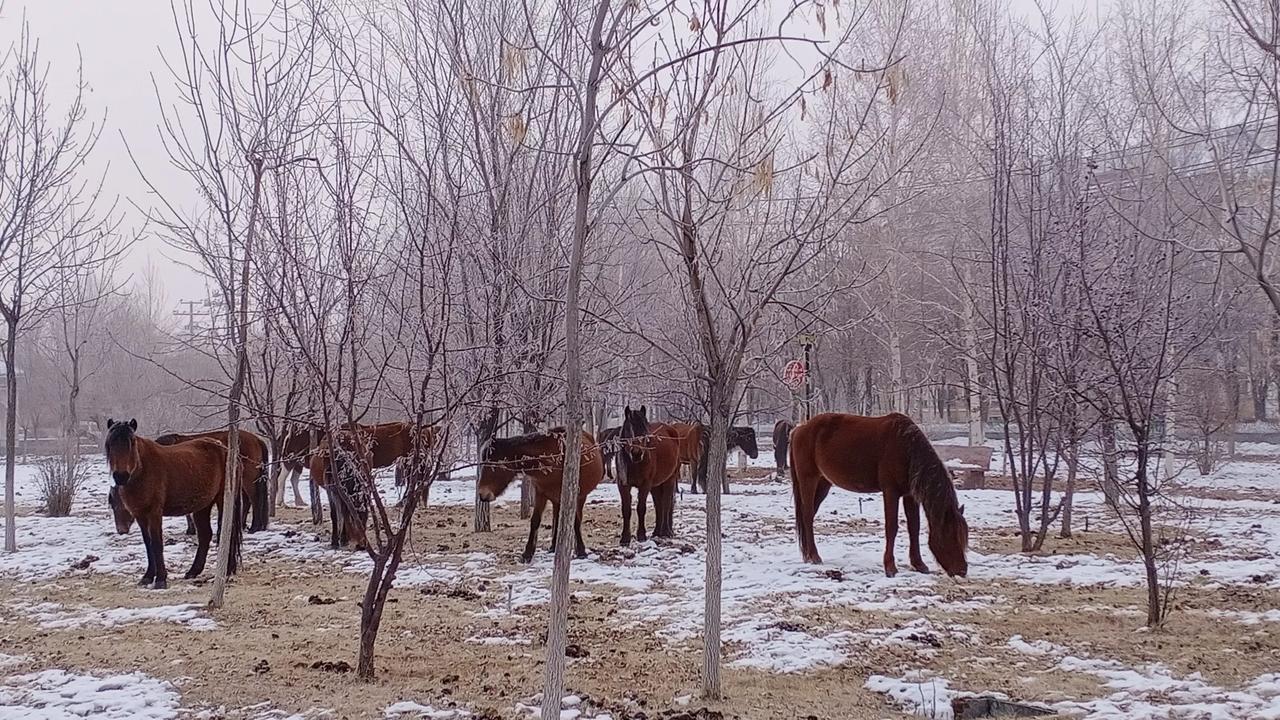 自然风景图片分享新疆兵团第十师北屯市一八七团